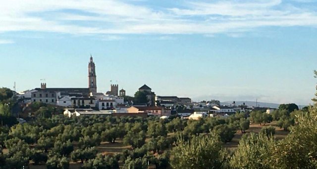 Vista paisajista (10)